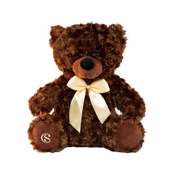 Pelúcia de Urso
